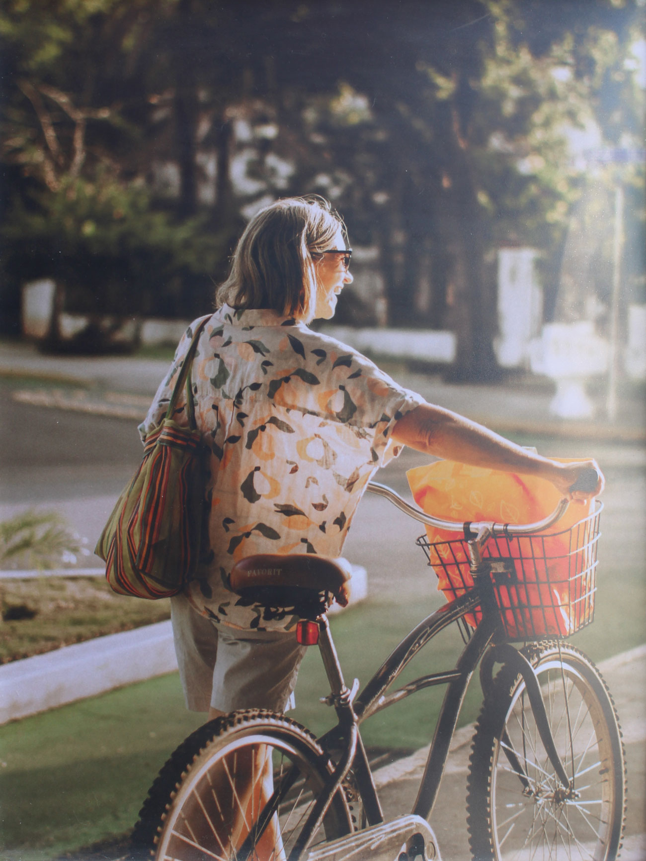Un Atardecer en Mérida de Alex Quijano