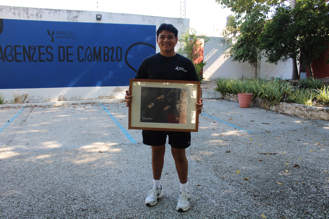 Xuunan Kaab-Melipona de Gilles Arbour - Image 2