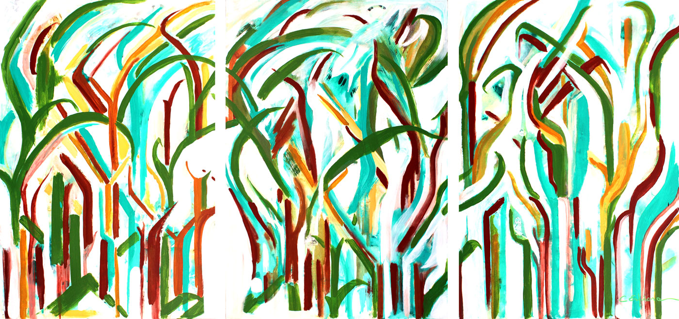 Bosque Encantado de Cristina Espinosa